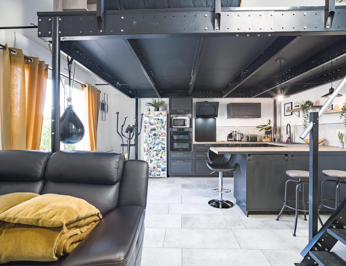 Loft Avec Jardin Et Parking Prive Apartment Troyes Ngoại thất bức ảnh